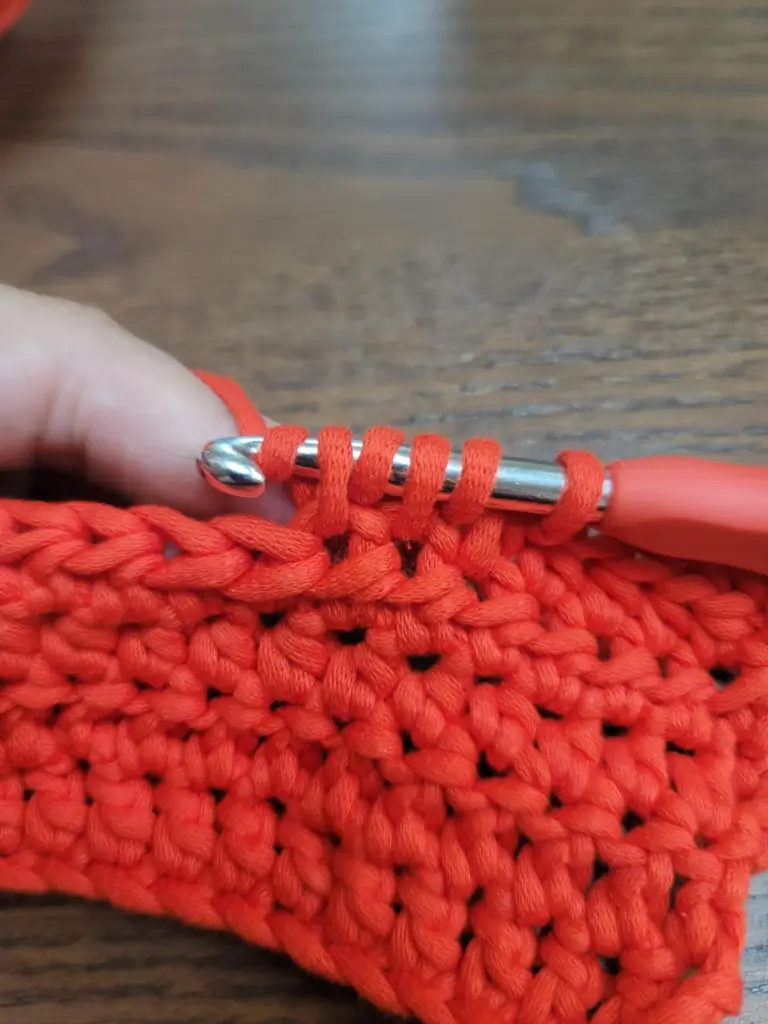 Picture of 5 loops on the crochet hook and a yarn over.