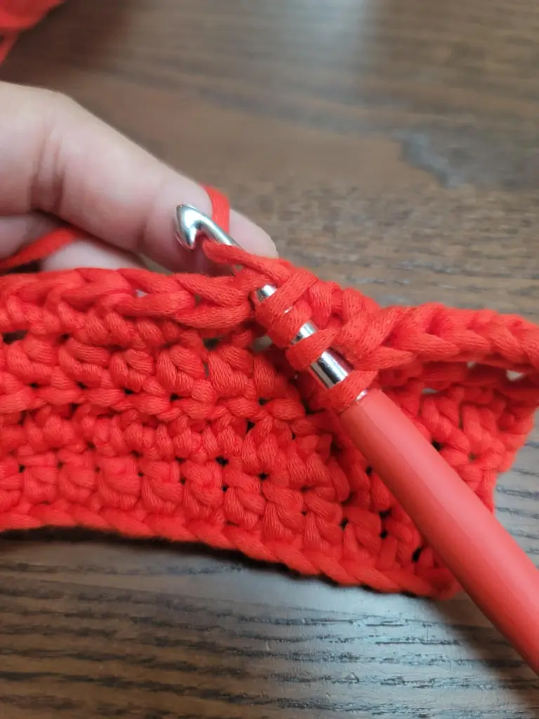 Picture of 4 loops on the crochet hook, hook inserted into the next stitch, and a yarn over.